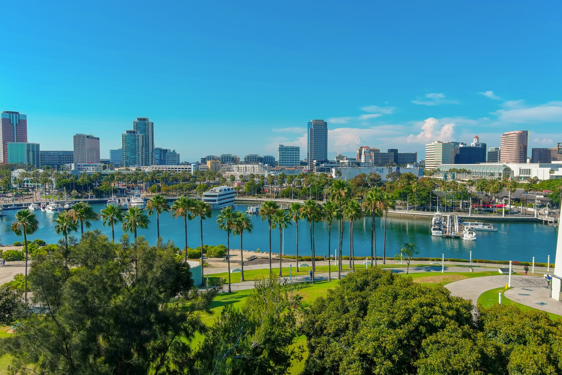 Junk removal in Palm Harbor, FL